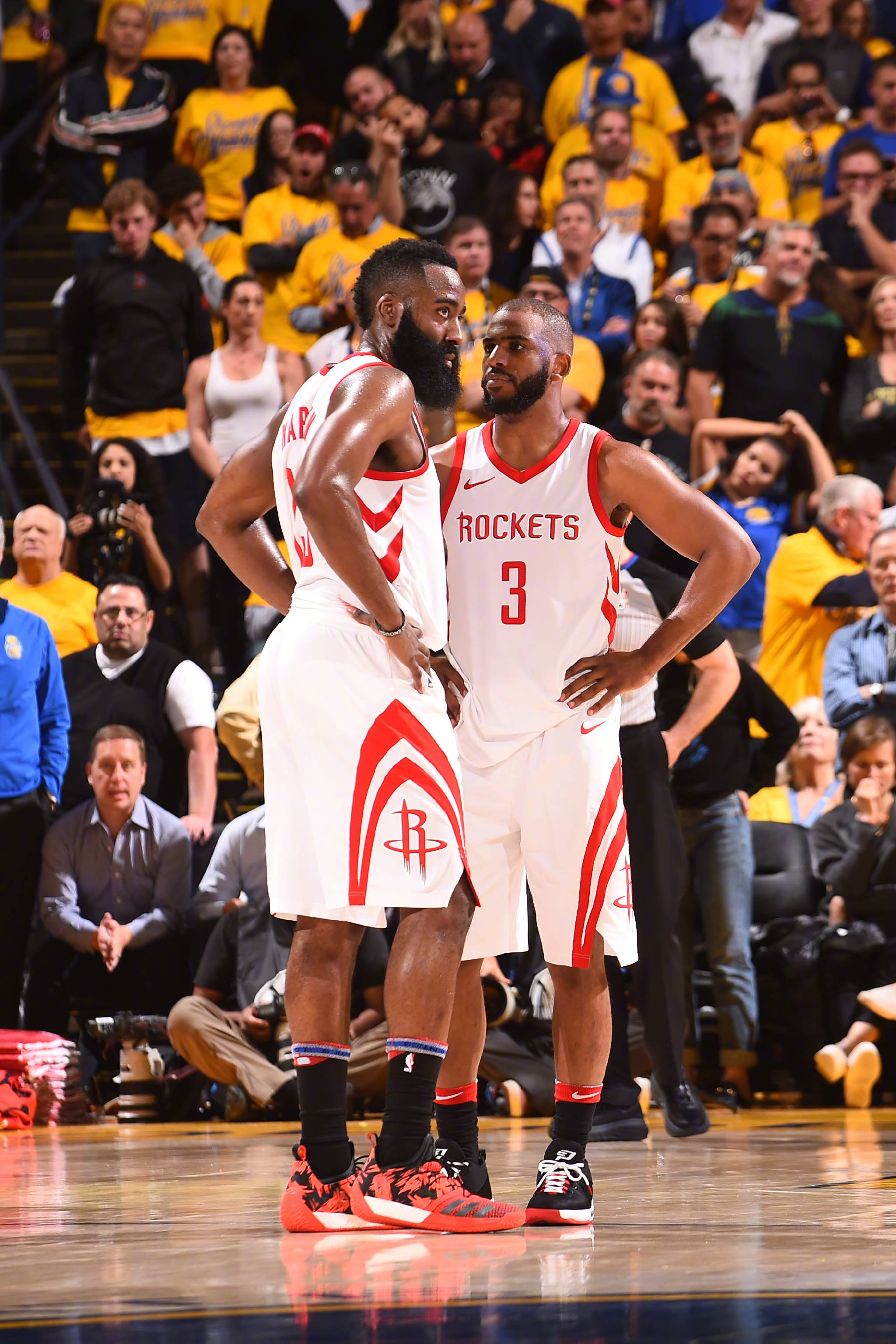 在今年的世 在今年的世