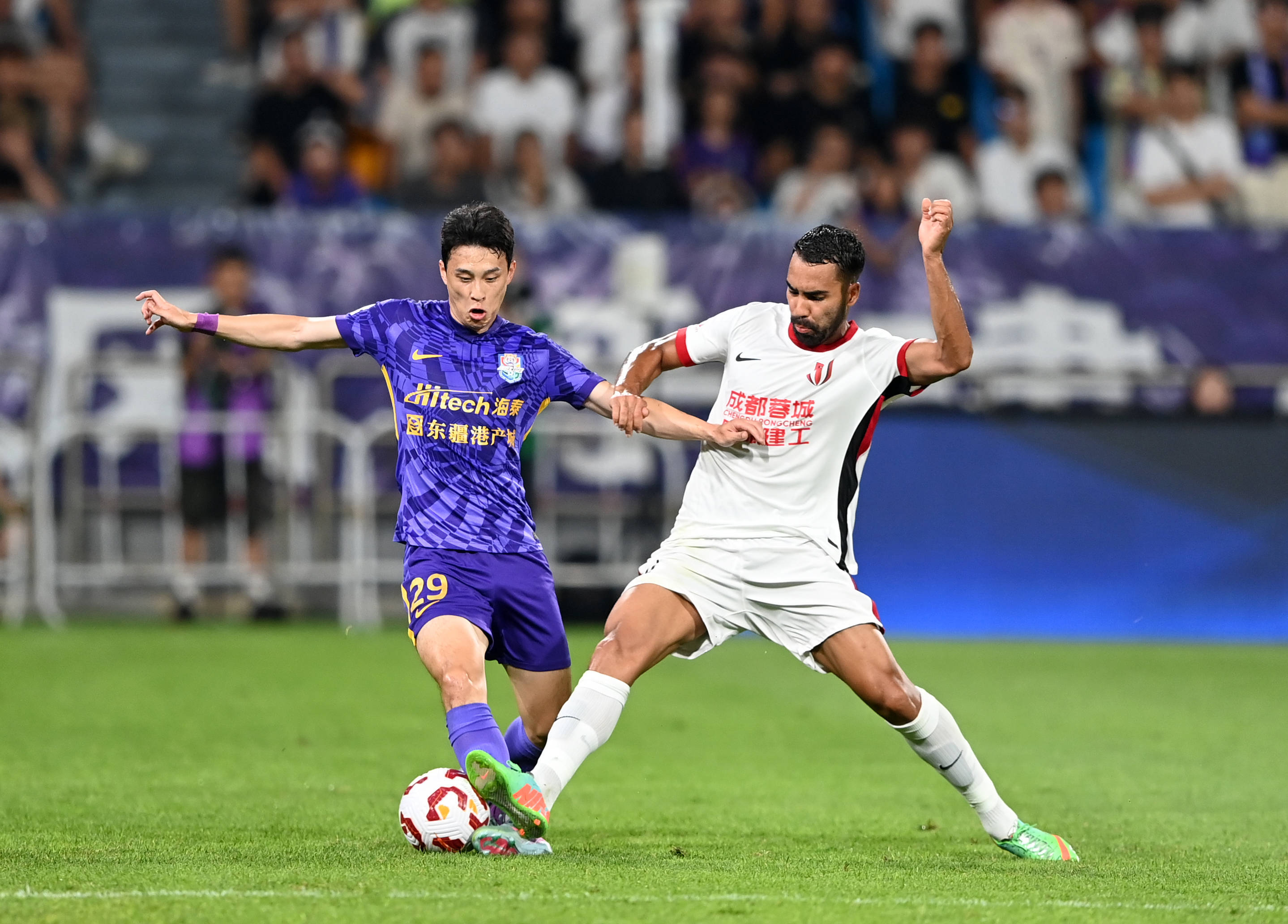 在未来的日 在未来的日